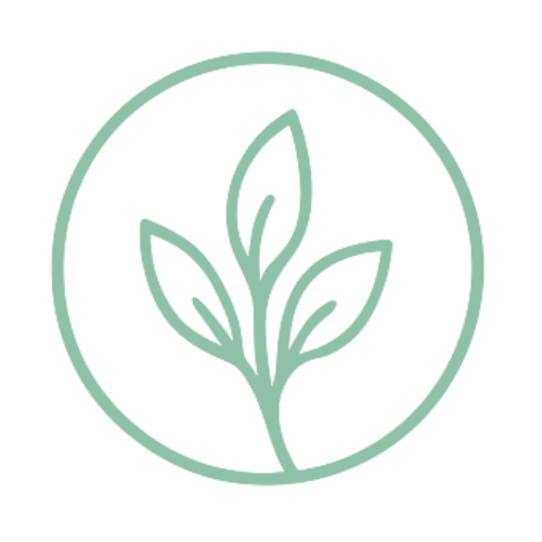 Quiet Guidance Practice Favicon Green